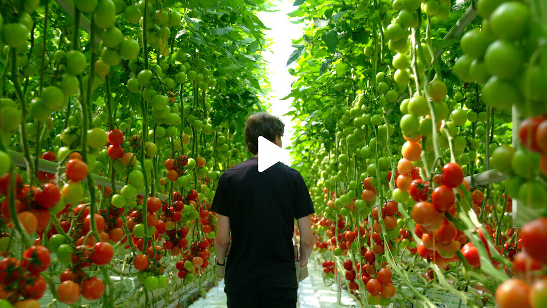Dut corporate video online thumbnail